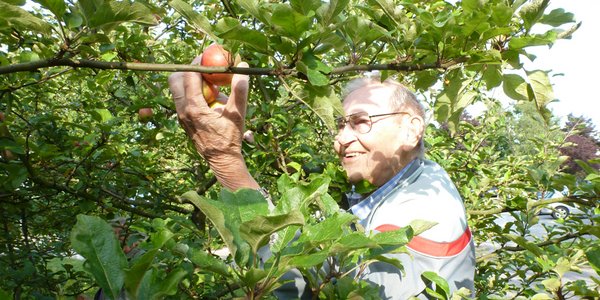 Ein Bewohner plückt Äpfel im hauseigenen Garten.